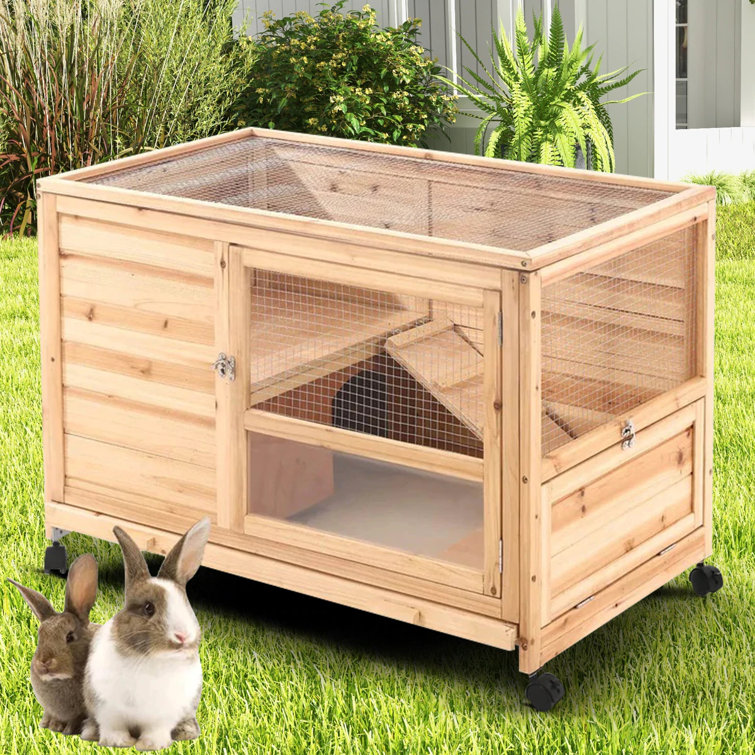Tucker Murphy Pet™ Brandwein Weather Resistant Rabbit Hutch with Ramp